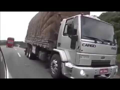 Quebra de asa do gardenal