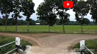 Download lagu RINDU TERLARANG DANGDUT TARLING _ByutCiratub_PSPM FEAT BUNDA_NEY21_PSPM mp3 Download lagu RINDU TERLARANG DANGDUT TARLING _ByutCiratub_PSPM FEAT BUNDA_NEY21_PSPM mp3