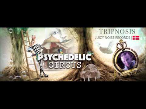 Psychedelic Circus Festival 2016 - Promo Set - TRIPNOSIS