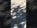 Cool Crescent Moon Shapes Solar Eclipse Shadows on the Ground Through the Trees, Branches & Leaves