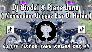 Download lagu DJ CINDAI X PLANE JANE || MEMENDAM UNGGAS LIAR DI HUTAN FYP TIKTOK TERBARU 2026  mp3