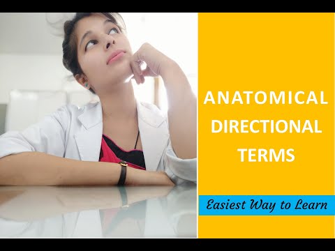 Anatomical Directional Terms | Easiest Way to Learn | Basics of Anatomy | Anatomical Position