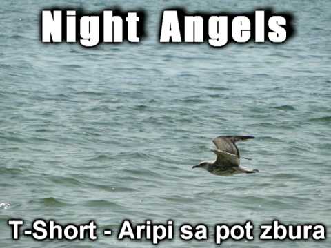T-Short - Aripi sa pot zbura.mp4