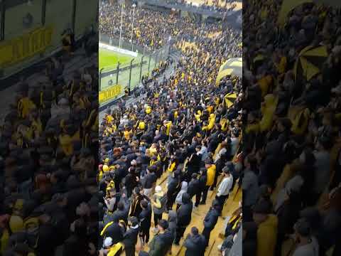 Peñarol 2-Danubio 0 desde la tribuna.