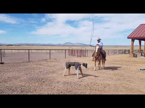 Ranch Roping