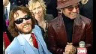 Scott The Chameleon Weiland