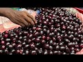 Mouthwatering Food Of Kolkata New Market Kolkata Street Food