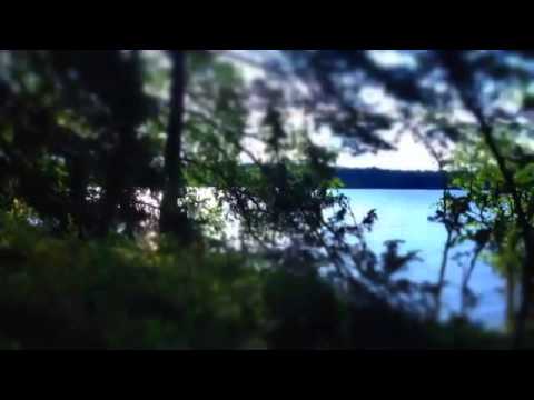 "I Have Learnt" - by Octavian Paler - Recited by Anca Mihaela