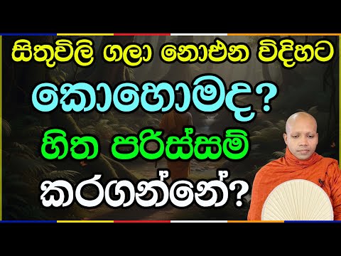 සිතිවිලි ගලා නොයන විදිහට කොහොමද හිත පරිස්සම් කරගන්නේ | Hasalaka Seelawimala Thero 145
