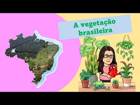 A vegetação brasileira - Ensino Fundamental I