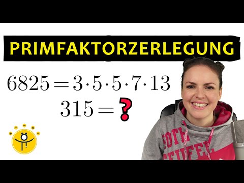PRIMFAKTORZERLEGUNG mit ungeraden Zahlen – einfach erklärt, Beispiele mit großen Zahlen