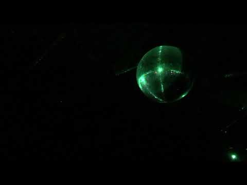 1979 + Dominik Eulberg live MTW Offenbach 28.2.2020