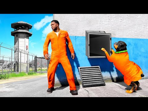 GTA 5 - ESCAPE the PRISON! (Franklin & Chop)