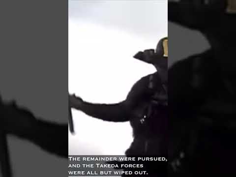 1575: The Battle of Nagashino