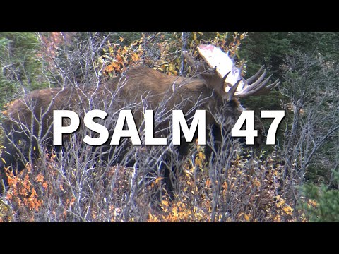 Psalm 47