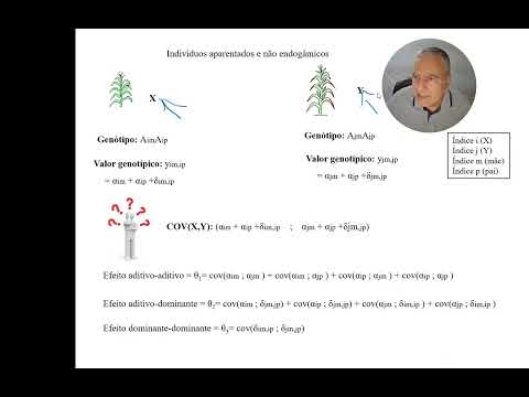 Cap2b MGV 3704. Covarîância entre parentes.Método geral.