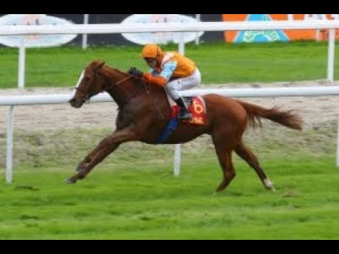 R1C3 - PX FEDE.ELEVEURS DU GALOP/PX FEDE.PROPR.DU GALOP(PX DE BARNEVILLE) - Samedi 08 Aout 2020