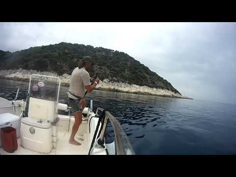 ΣΥΡΤΗ ΜΕ MONEL (1)