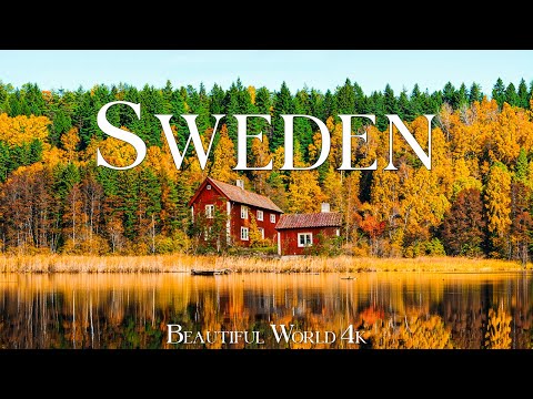 Sweden 4K – A Golden Tapestry of Birch Forests and Tranquil Lakes in Autumn – Piano Music