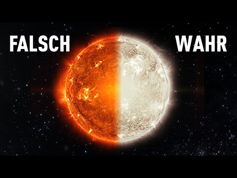 33 Wahr-oder-Falsch-Fragen, um Ihr Wissen über skurrile Fakten zu testen