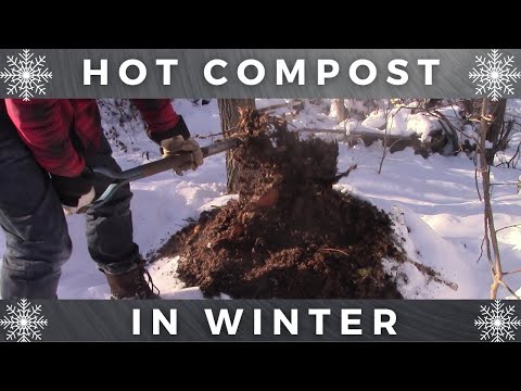 How To Compost In Winter