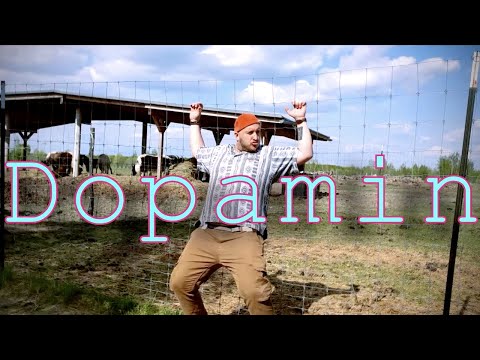 Siriuz x Rato - Dopamin