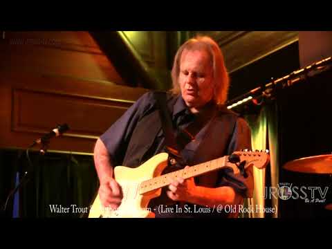 James Ross @ Walter Trout & Anthony Grisham - www.Jross-tv.com (St. Louis)