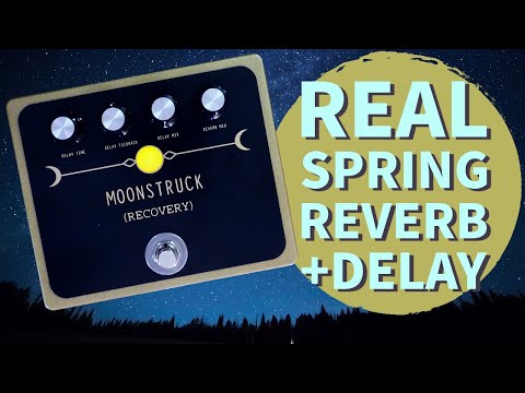 Real spring reverb with analog-style delay: Recovery Effects Moonstruck