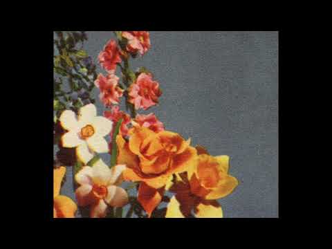 [FREE] rxseboy x powfu x ukulele type beat - "feeling good"