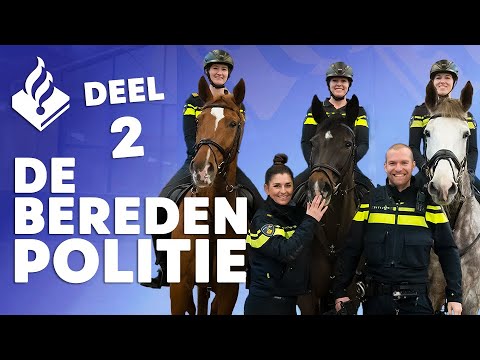 Op stal bij de POLITIE PAARDEN - Boeiend de Podcast | Deel 2