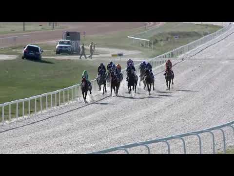 2019.04.21. 06. futam - BÁRÓ WENCKHEIM BÉLA EMLÉKVERSENY HENDIKEP (V/b.) (szintetikus pálya)