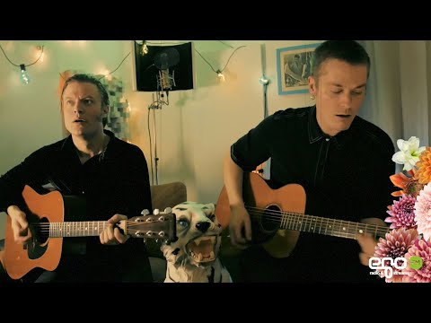 Die egoFM Hauskonzerte mit Mando Diao