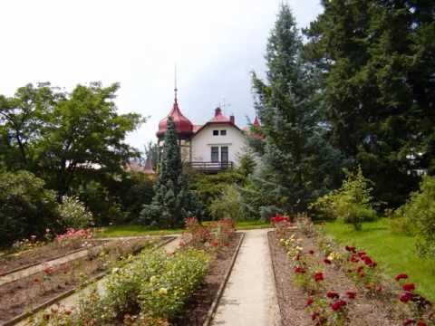 Jan a František Nedvědovi - Hopsinky