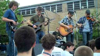 Bucket of Fish (Music Fest)