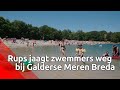 Ondanks waarschuwingen over processierups, toch erg druk bij de Galderse Meren.