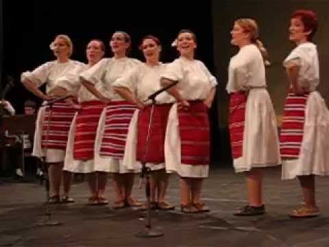 Dzivocka grupa 12.11.2006 60 roki RKPD Novi Sad