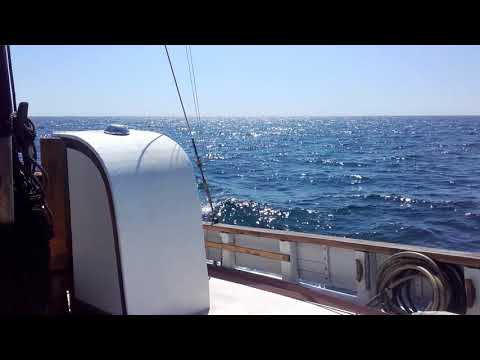 Elin Skandia 2*50(2)