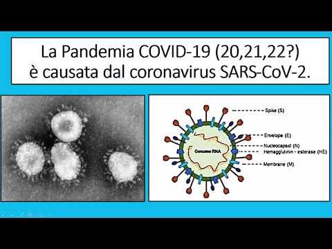 , title : 'Vaccino Covid-19 - Intervento del Dr. Raffaello Pagni'