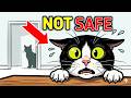 Tuxie The Cat Gets Nervous Around Other Cats Here S Why