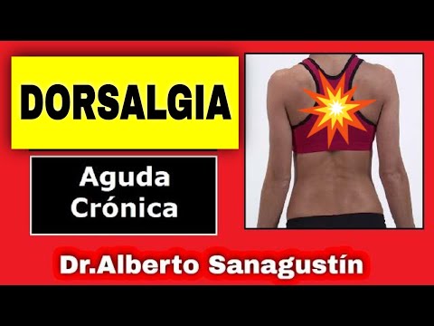 DORSALGIA AGUDA Y CRÓNICA: causas, síntomas y tratamiento (Dolor de espalda)