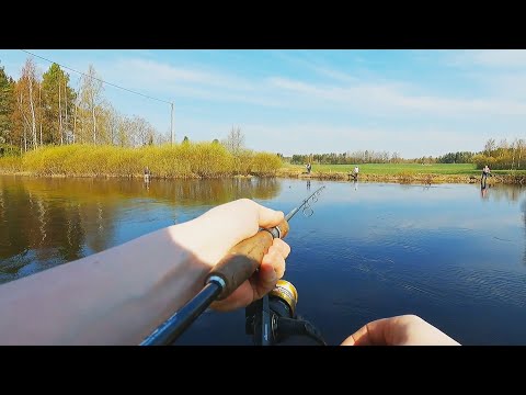 Pakarinjoen Lohikauden Avaus 13.5.2021 Ähtäri #pakarinjoki #kirjolohi #gopro