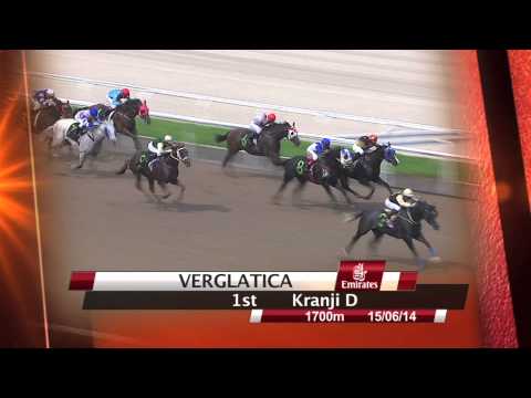 Emirates Singapore Derby 2014 Contenders (Verglatica)