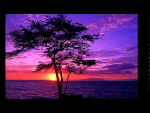 Canzone - Ti lascerò