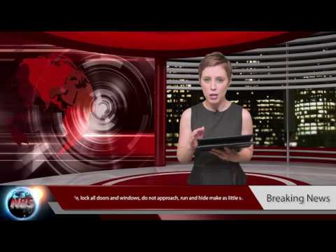 Zombie Outbreak News Report
