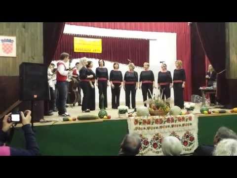 KUD Posavina Budaševo - Djevojka je pošla u goru po vodu