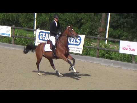 Doulphin  by Quasimodo vd molendreef x Silvio l