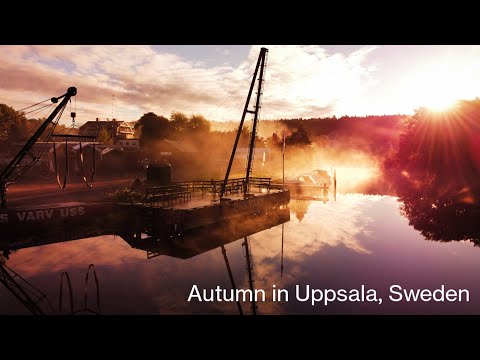 Autumn in Uppsala, Sweden
