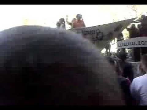 technoparade 2008 (2)