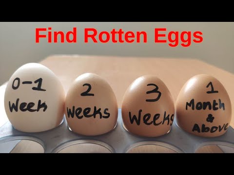 HOW TO FIND ROTTEN EGG | AGE OF THE EGG | EXPERIMENTS AND HACKS