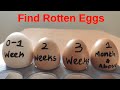 HOW TO FIND ROTTEN EGG | AGE OF THE EGG | EXPERIMENTS AND HACKS